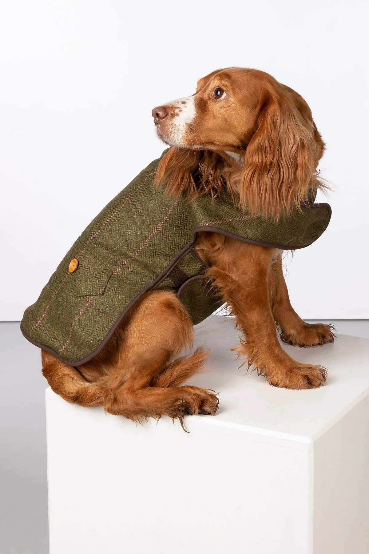 Fleece Lined Tweed Dog Coat